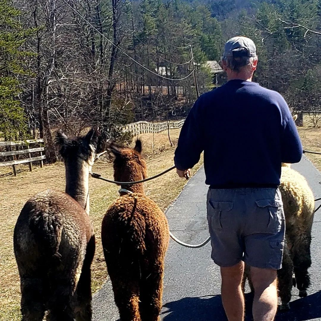 Behind-the-Scenes Tour