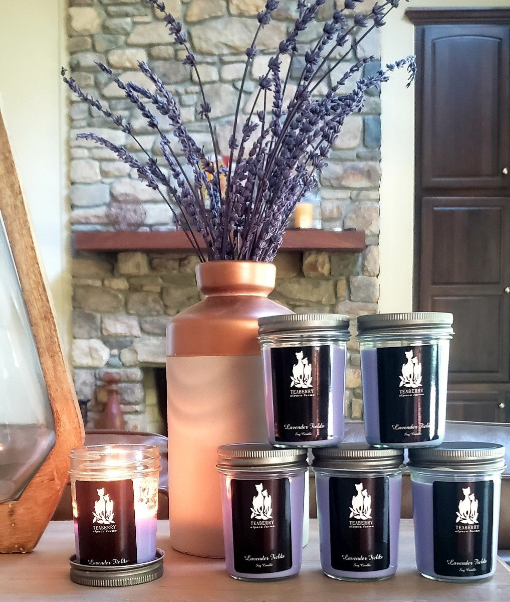 Teaberry Alpaca Farms homemade candles...Lavender Fields scent