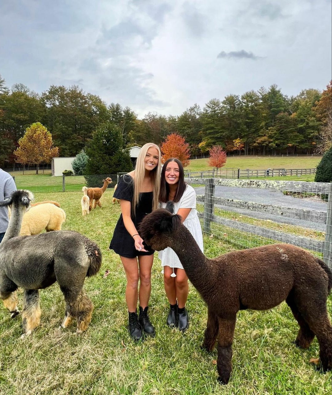 Teaberry Alpaca Farms
