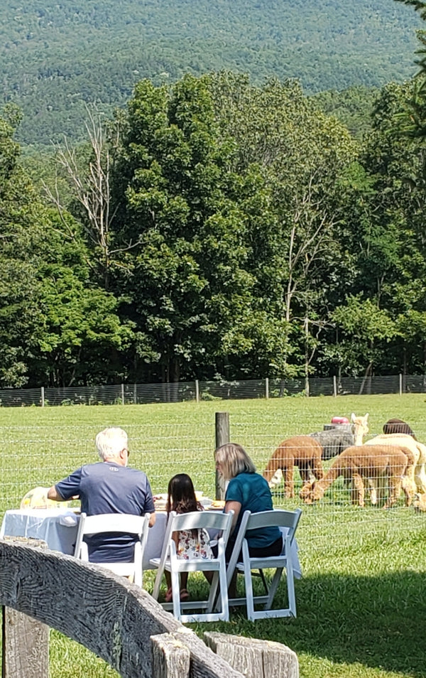 Teaberry Alpaca Farms